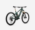 2025 Orbea Wild M-LTD Forest Green Rear View